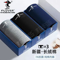 啄木鳥純棉內褲3條+六神生姜洗發水+哪吒之魔童鬧海Q玩捏捏樂